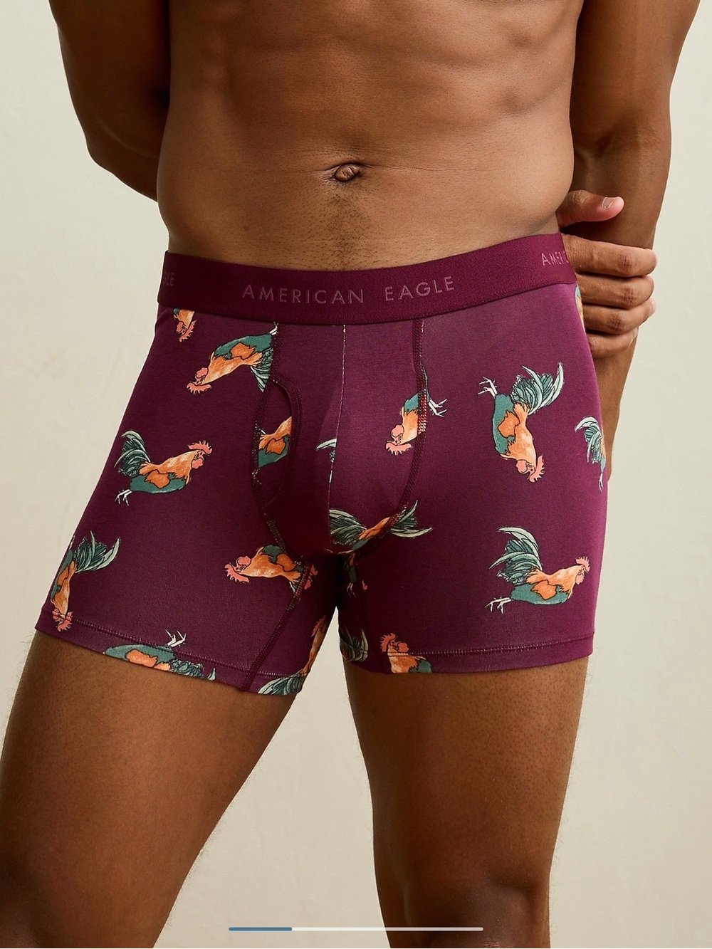 American Eagle Outfitters Men’s Maroon Rooster Print Boxer Briefs NWT L
